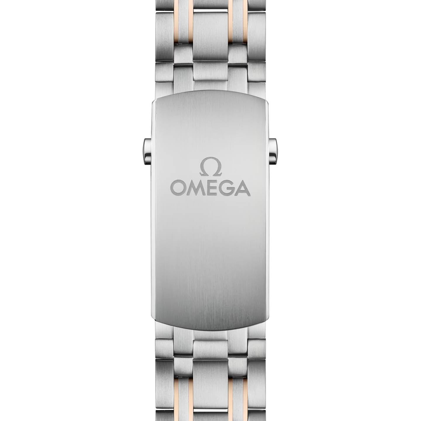 Omega Seamaster Diver 300M 210.20.42.20.03.002