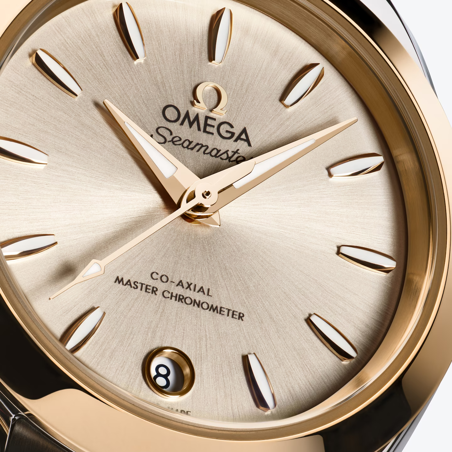 Omega Seamaster Aqua Terra 150m 30MM 220.20.30.20.02.001