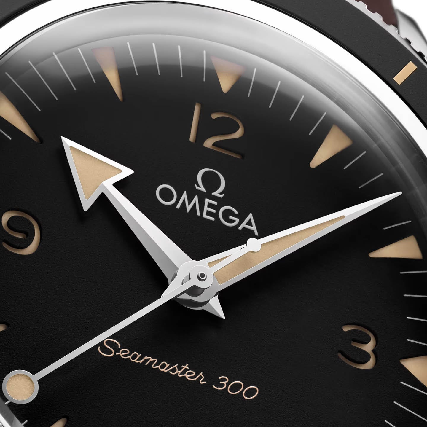 Omega Seamaster 300 234.32.41.21.01.001