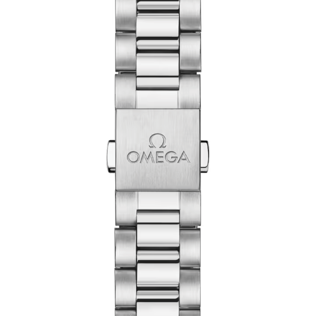 Omega Seamaster Railmaster 235.10.38.20.13.001