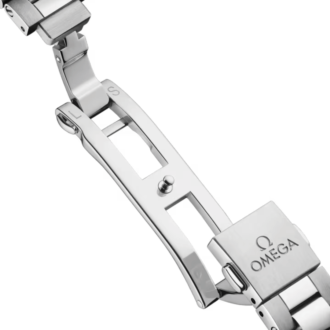 Omega Seamaster Railmaster 235.10.38.20.13.001