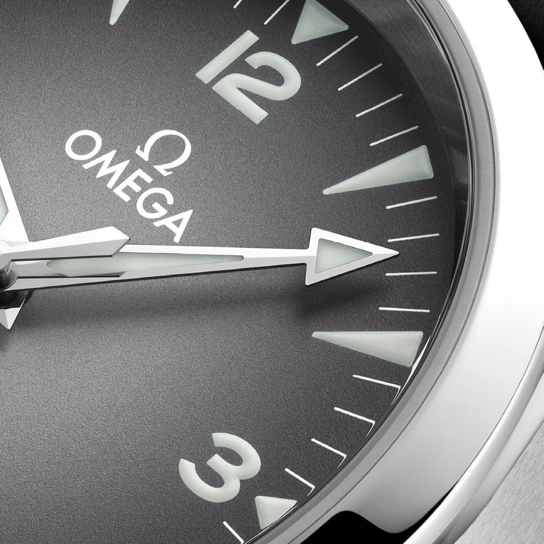 Omega Seamaster Railmaster 235.12.38.20.06.001