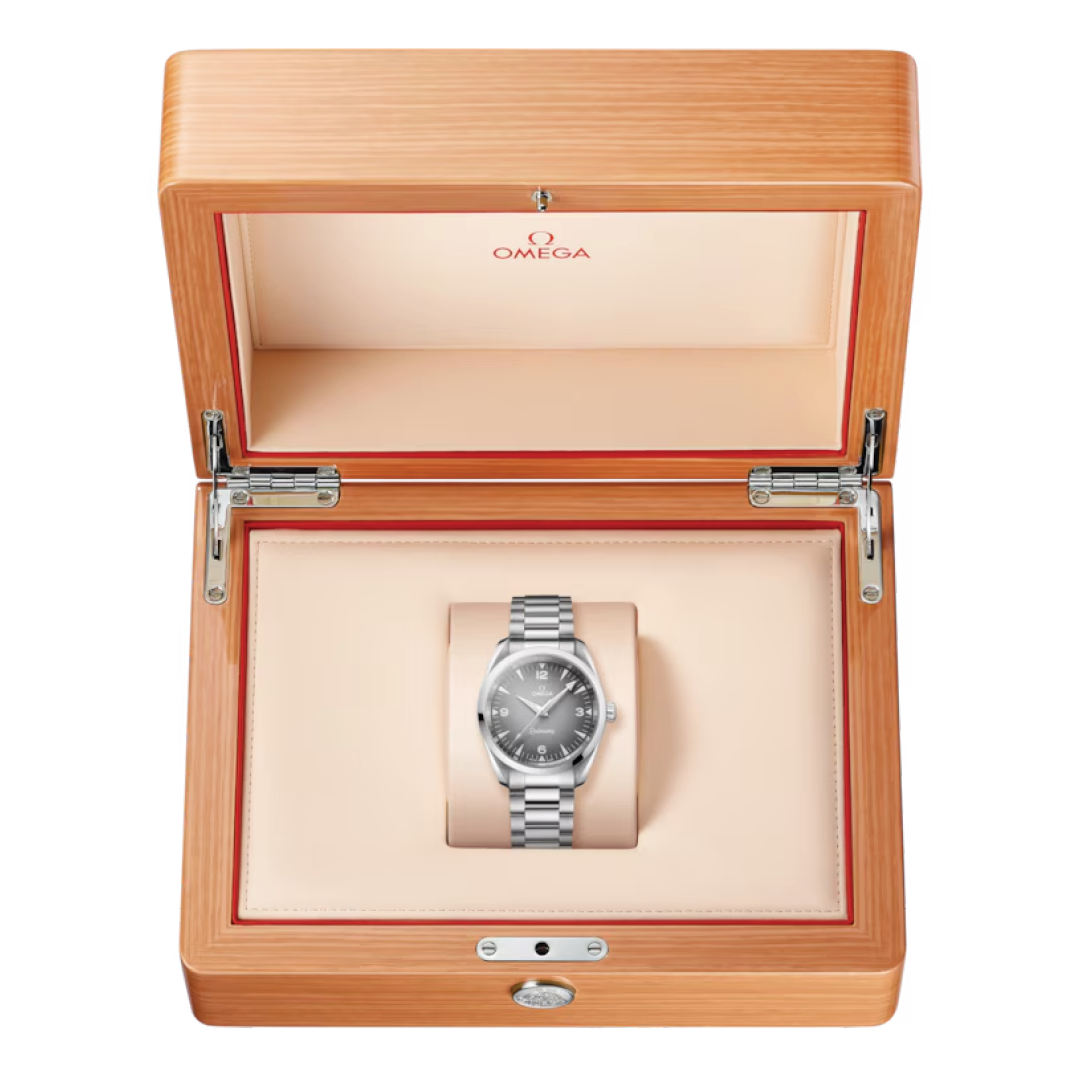 Omega Seamaster Railmaster 235.10.38.20.06.001