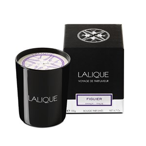 Lalique Fig Tree Amalfi Italy Scented Candle