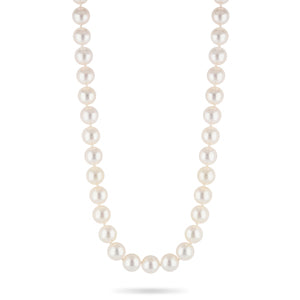 Beards 9.5mm Pearl Necklace 958T550SL48/W