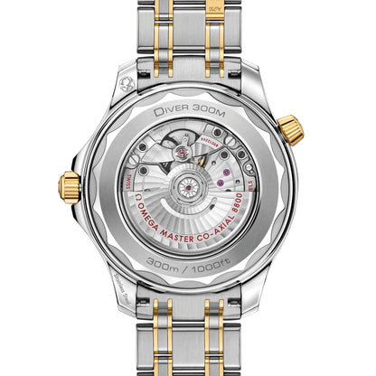 Omega Seamaster Diver 300M 210.20.42.20.01.002