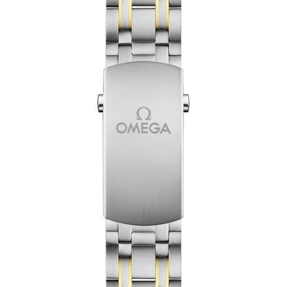 Omega Seamaster Diver 300M 210.20.42.20.03.001