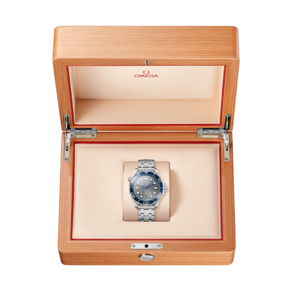 Omega Seamaster Diver 300M 210.30.42.20.06.001