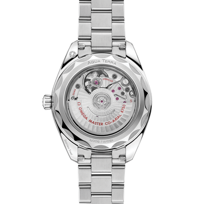 Omega Seamaster Aqua Terra 150m 30MM 220.10.30.20.01.001