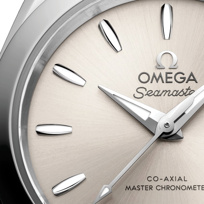 Omega Seamaster Aqua Terra 150m 220.10.30.20.09.001