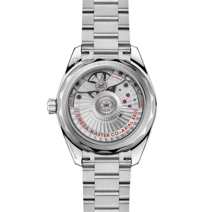 Omega Aqua Terra 150M 220.10.34.20.01.001