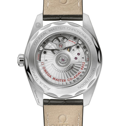 Omega Aqua Terra 150M Small Seconds 220.13.38.20.60.001