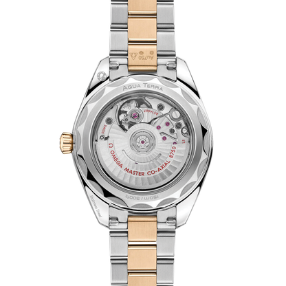 Omega Seamaster Aqua Terra 150m 30MM 220.20.30.20.02.001