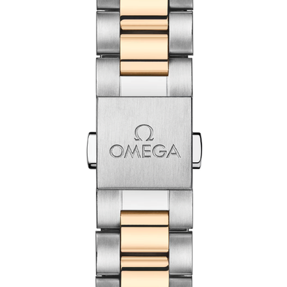 Omega Seamaster Aqua Terra 150m 30MM 220.20.30.20.02.001