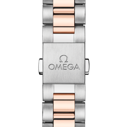Omega Seamaster Aqua Terra 150m 30MM 220.20.30.20.63.001