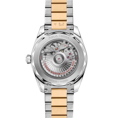 Omega Aqua Terra 150M 220.20.38.20.02.002