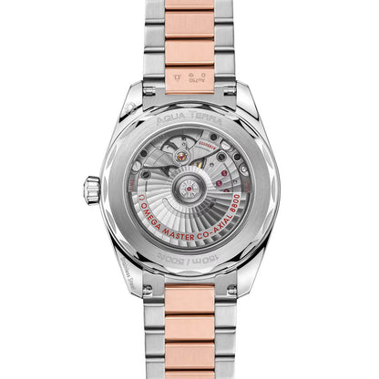 Omega Aqua Terra 150M 220.20.38.20.09.001