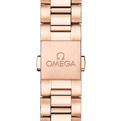 Omega Seamaster Aqua Terra 150m 30MM 220.50.30.20.09.001
