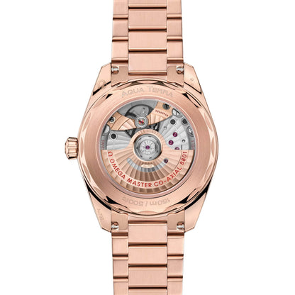Omega Aqua Terra 150M 220.50.38.20.10.001