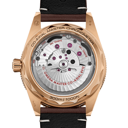 Omega Seamaster 300 234.92.41.21.10.001