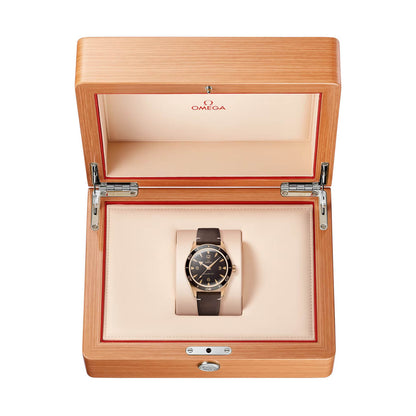 Omega Seamaster 300 234.92.41.21.10.001