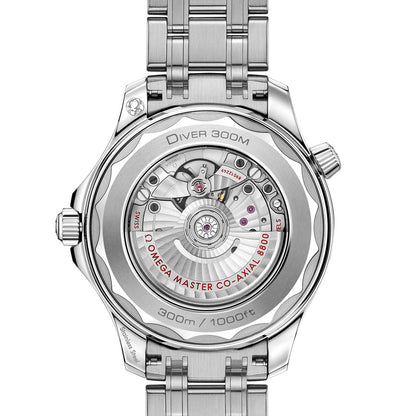Omega Seamaster Diver 300M 210.30.42.20.04.001