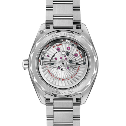 Omega Aqua Terra 150M 41MM 220.10.41.21.03.004
