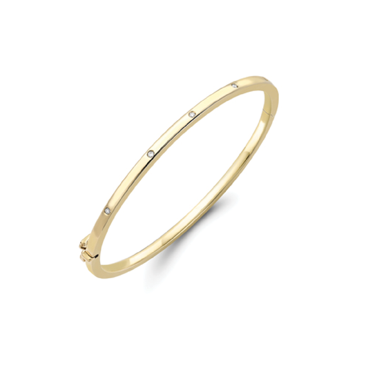 Beards 9ct Yellow Gold Diamond Bangle BN120