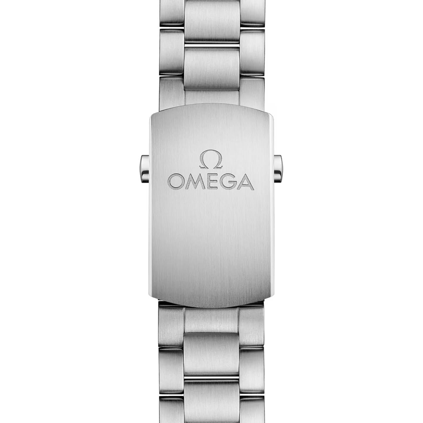 Omega Planet Ocean 600M 215.30.40.20.04.001
