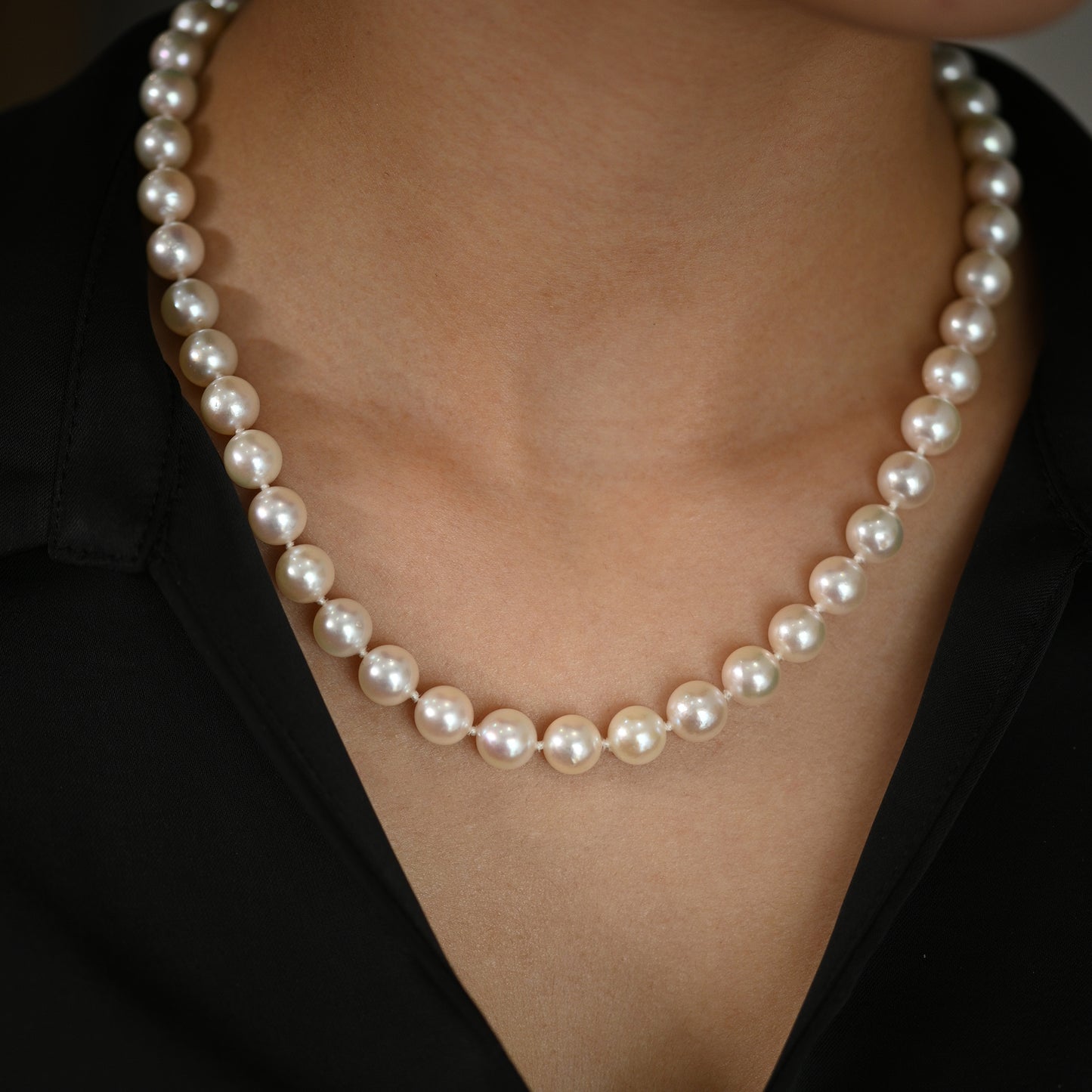 Beards 9.5mm Pearl Necklace 958T550SL48/W