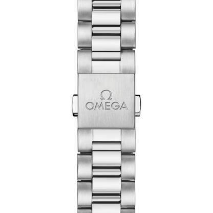 Omega Seamaster Railmaster 235.10.38.20.13.001