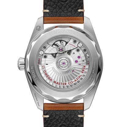 Omega Seamaster Railmaster 235.12.38.20.13.001